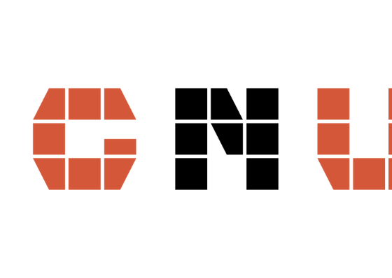 logo de la submarca pignus