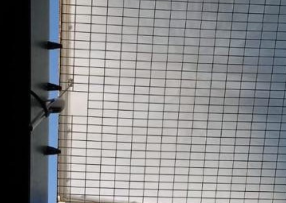 malla de seguridad para proteger claraboyas